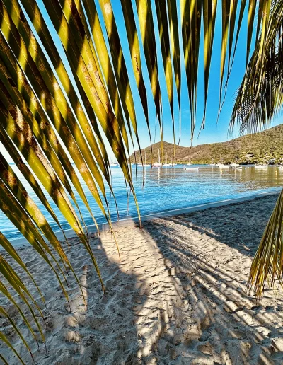 Anse Arlet Plage Cocotiers sunrise