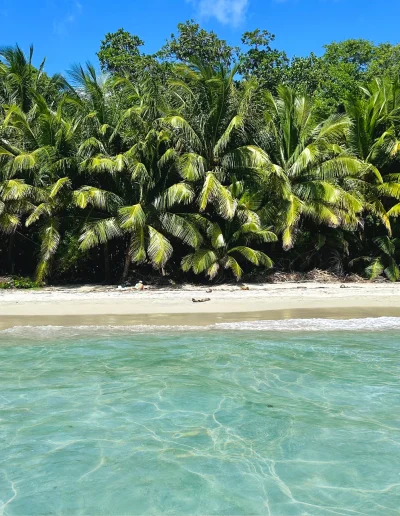 Plage Diamant paradisiaque Coco soley