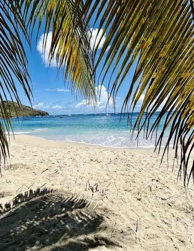 Antilles Coco Soley Plages