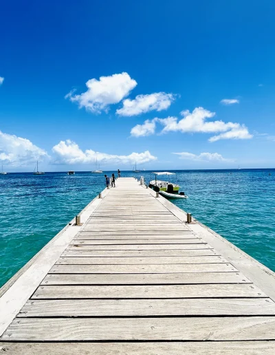 Martinique Coco Soley Tourisme