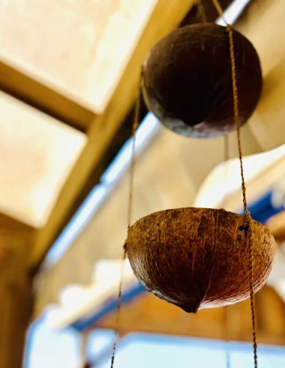 Coque de noix de coco Martinique Coco Soley