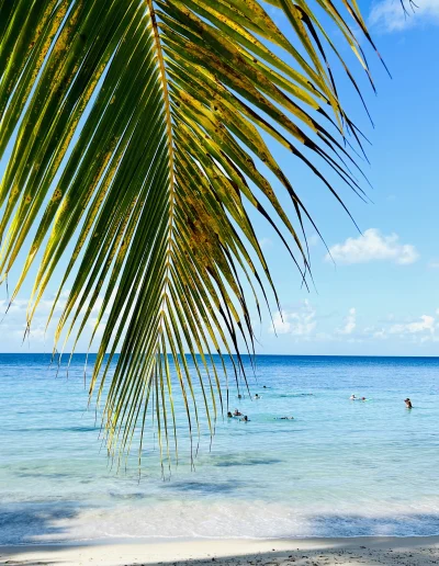 Martinique plage du Diamant