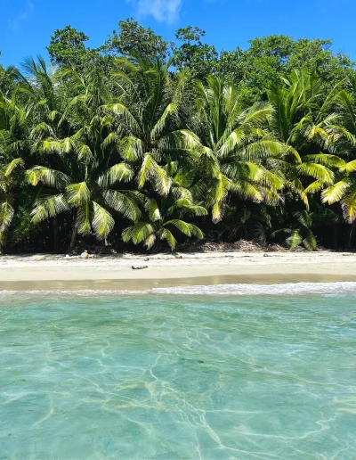 Plage martinique du diamant