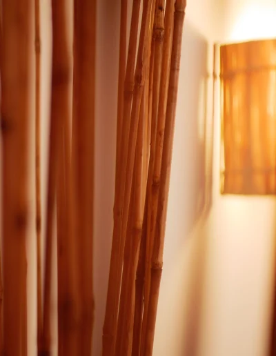 Coco Soley Kaz Hibiscus