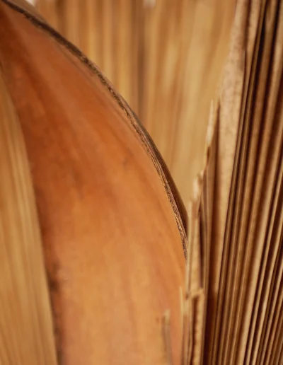 Coco Soley Kaz Hibiscus