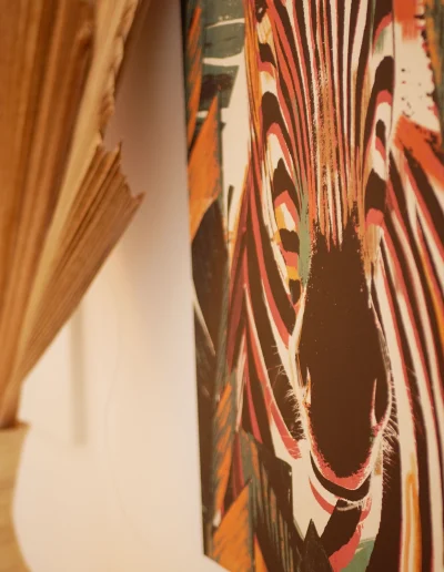 Coco Soley Kaz Papaye