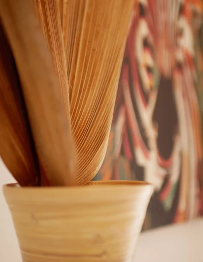 Coco Soley Kaz Papaye