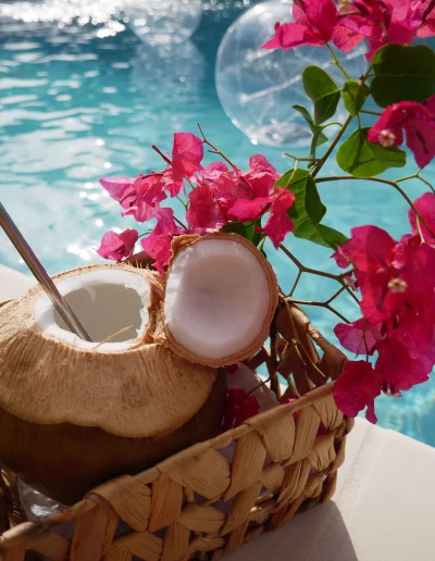 Coco Soley location vacances Martinique Piscine