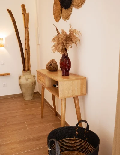 Coco Soley Balisier location vacances Martinique