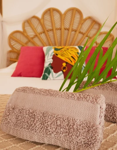 Coco Soley Balisier location vacances Martinique