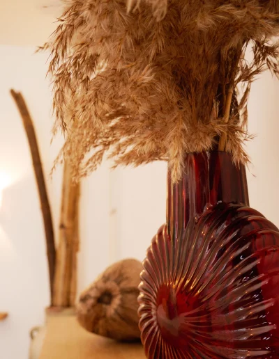 Coco Soley Balisier location vacances Martinique