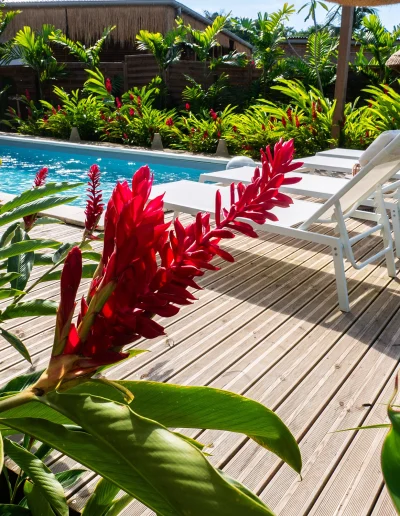 Coco Soley Kaz Coco Piscine